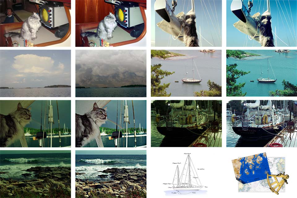 Earnie the Sailing Cat Photo Editing