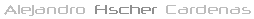 Alehandro Fischer Logo