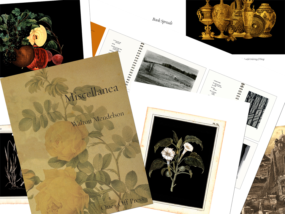 Miscellanea by Walton Mendelson--montage